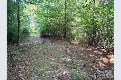 Tbd Blue Rock Road #171 & 172B, Purlear, NC 28665 - Photo 10