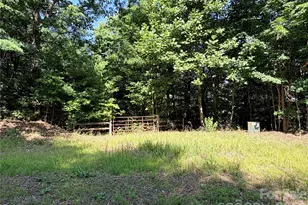 Tbd Blue Rock Rd, Purlear, NC 28665 - Photo 1
