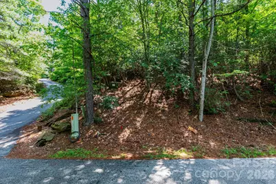 50 Cedar Drive, Mills River, NC 28759 - Photo 4