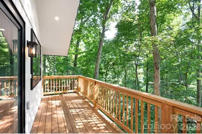 17 Woodhaven Place, Asheville, NC 28805 - Photo 4