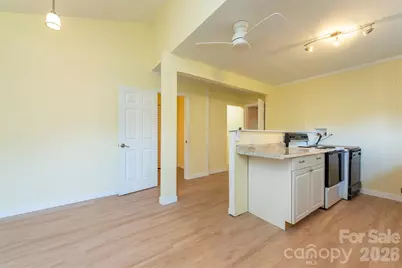 223 Davidson Road, Swannanoa, NC 28778 - Photo 34