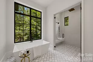 13703 Grand Palisades Pkwy, Charlotte, NC 28278 - Photo 20