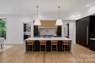 13703 Grand Palisades Pkwy, Charlotte, NC 28278 - Photo 12