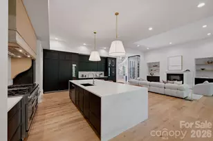 13703 Grand Palisades Pkwy, Charlotte, NC 28278 - Photo 12