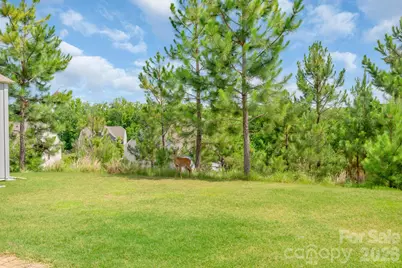 17713 Yarwill Court, Charlotte, NC 28278 - Photo 8