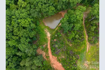 443 Polk County Line Road, Rutherfordton, NC 28139 - Photo 6