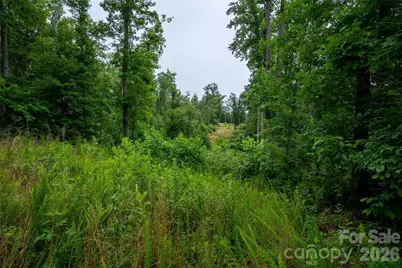 443 Polk County Line Road, Rutherfordton, NC 28139 - Photo 28