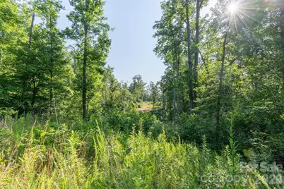 443 Polk County Line Road, Rutherfordton, NC 28139 - Photo 10