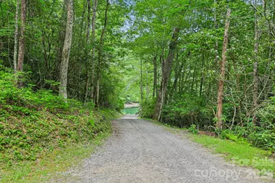 337 Leatherbreeches Drive, Tuckasegee, NC 28783 - Photo 38