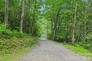 337 Leatherbreeches Dr, Tuckasegee, NC 28783 - Photo 38