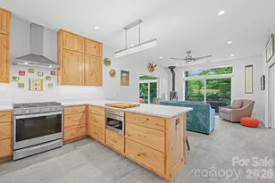 337 Leatherbreeches Dr, Tuckasegee, NC 28783 - Photo 14