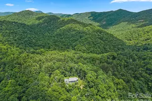 337 Leatherbreeches Dr, Tuckasegee, NC 28783 - Photo 48