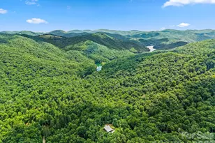 337 Leatherbreeches Dr, Tuckasegee, NC 28783 - Photo 46