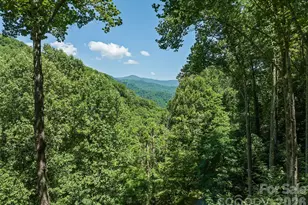26 Tawodi Trail, Maggie Valley, NC 28751 - Photo 2