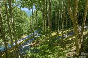 26 Tawodi Trail, Maggie Valley, NC 28751 - Photo 38