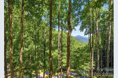 26 Tawodi Trail, Maggie Valley, NC 28751 - Photo 8