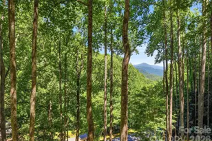 26 Tawodi Trail, Maggie Valley, NC 28751 - Photo 8