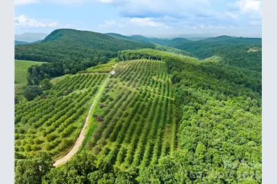 0 Summer Road #6, Hendersonville, NC 28792 - Photo 6