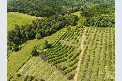 0 Summer Road #5, Hendersonville, NC 28792 - Photo 8