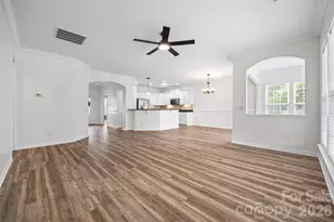 2027 Maned Goose Ct, Fort Mill, SC 29707 - Photo 8