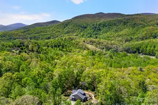 38 Pne Hl Rd, Fairview, NC 28730 - Photo 28