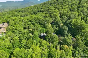 2 Coneflower Ct, Black Mountain, NC 28711 - Photo 38