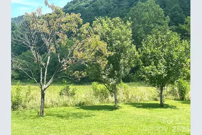 10755 Nc 209 Highway, Hot Springs, NC 28743 - Photo 12