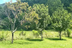 10755 Nc 209 Hwy, Hot Springs, NC 28743 - Photo 12