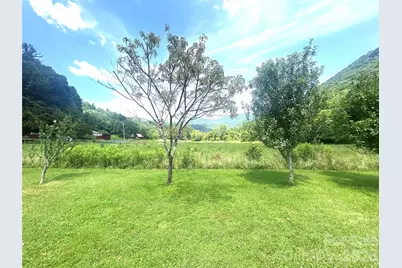 10755 Nc 209 Highway, Hot Springs, NC 28743 - Photo 10