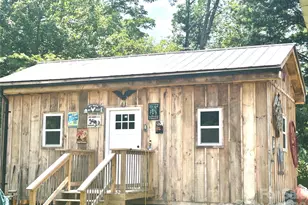 10755 Nc 209 Hwy, Hot Springs, NC 28743 - Photo 4