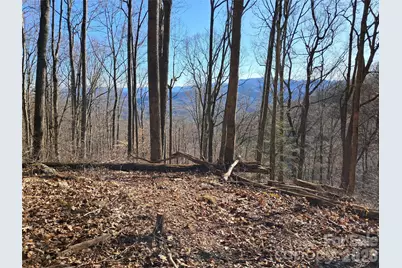 9999 Off Hurricane Ridge Trace, Clyde, NC 28721 - Photo 4