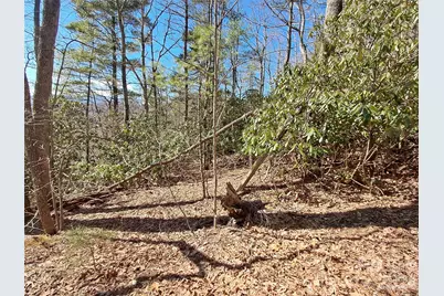 9999 Off Hurricane Ridge Trace, Clyde, NC 28721 - Photo 6