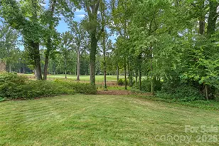 19322 River Falls Dr, Davidson, NC 28036 - Photo 40
