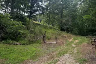 284 Paul Gosnell Rd, Marshall, NC 28753 - Photo 4