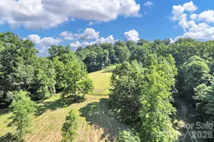 284 Paul Gosnell Rd, Marshall, NC 28753 - Photo 18