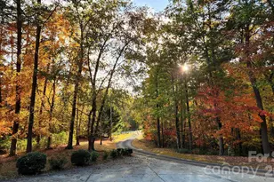 100 Hannah Dr, Mill Spring, NC 28756 - Photo 36