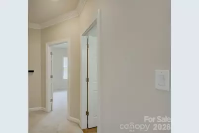 10119 Victoria Mill Court, Charlotte, NC 28277 - Photo 28