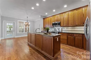 113 Palmer Marsh Pl, Mooresville, NC 28117 - Photo 8