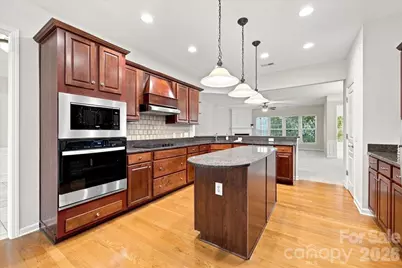 36145 Watsonia Street, Indian Land, SC 29707 - Photo 12