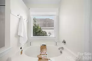 1620 Ridgehaven Rd, Waxhaw, NC 28173 - Photo 20
