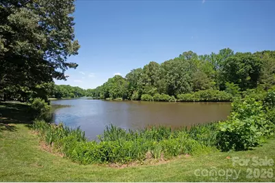 9117 Yellow Pine Court, Waxhaw, NC 28173 - Photo 6