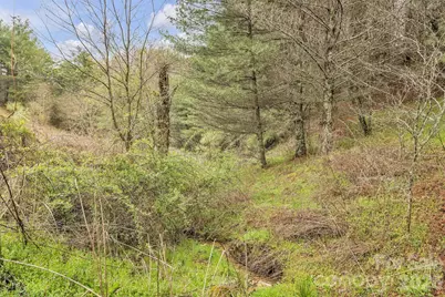 Tbd Big Helton Road, Grassy Creek, NC 28631 - Photo 12