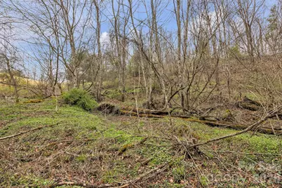 Tbd Big Helton Road, Grassy Creek, NC 28631 - Photo 8