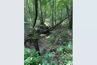 0 Gold Mine Road, Morganton, NC 28655 - Photo 6