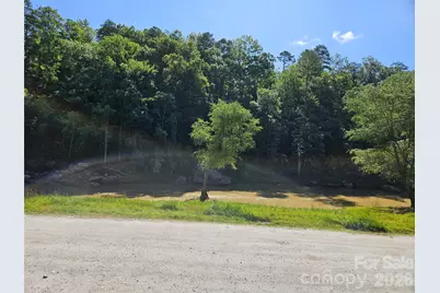 0 Sandpiper Avenue #163, Lake Lure, NC 28746 - Photo 10
