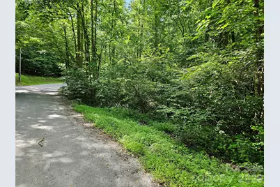 0 Sandpiper Avenue #163, Lake Lure, NC 28746 - Photo 12