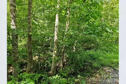 0 Sandpiper Avenue #163, Lake Lure, NC 28746 - Photo 2