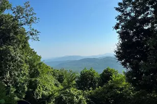 1347 Wipprecht Dr, Spruce Pine, NC 28777 - Photo 8