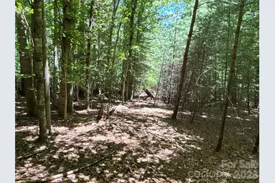 2006 Piedmont Road, Morganton, NC 28655 - Photo 10