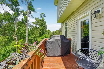 245 Rockrose Court, Asheville, NC 28803 - Photo 30